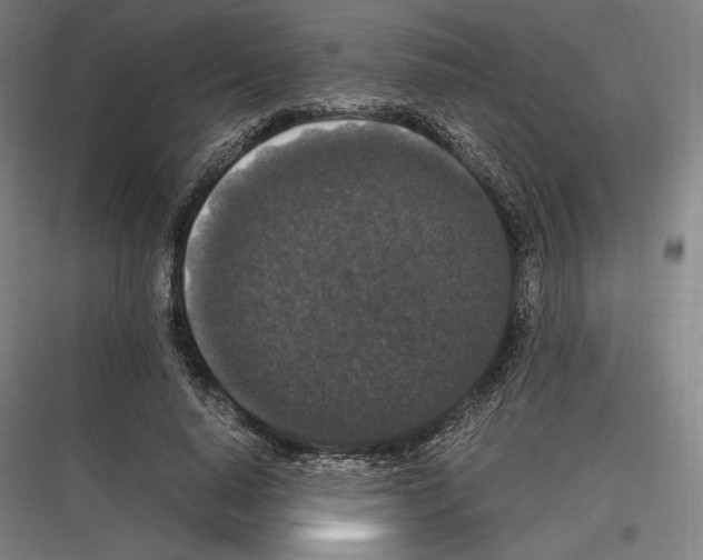 X0000116780640201001281215