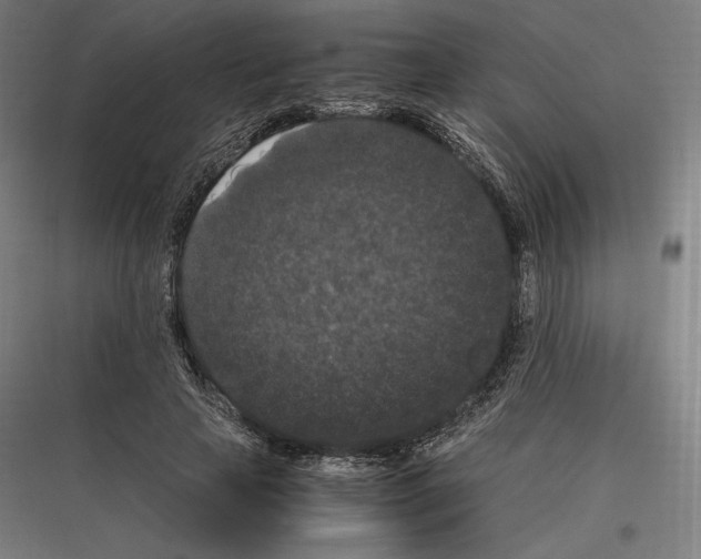 X0000116780641201001281215