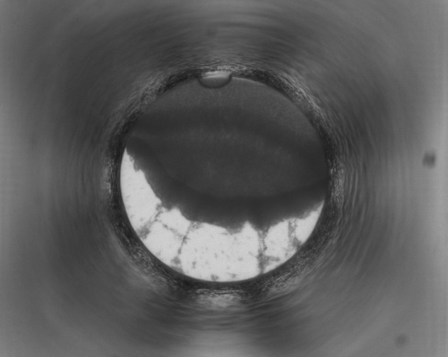 X0000116780643201001281215