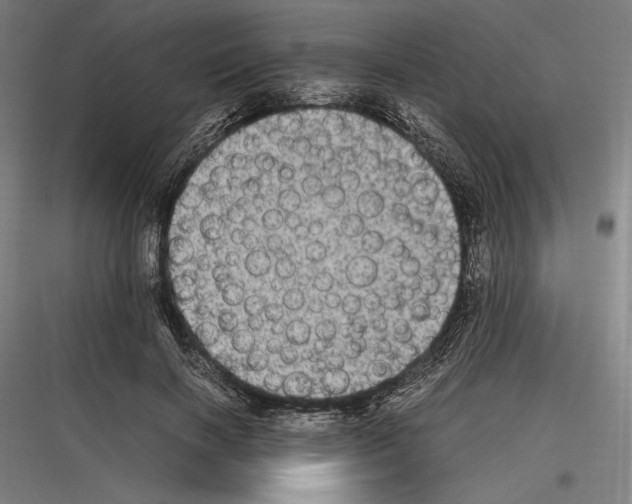 X0000116780646201001281215