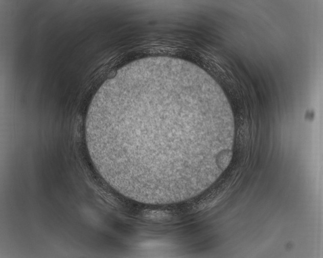 X0000116780649201001281215