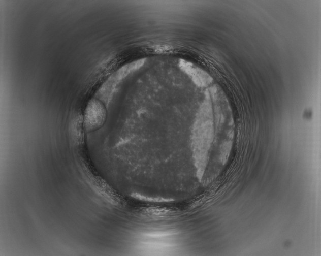 X0000116780650201001281215