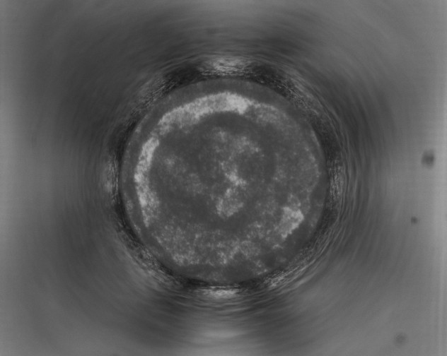 X0000116780651201001281215