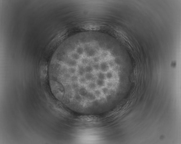 X0000116780652201001281215