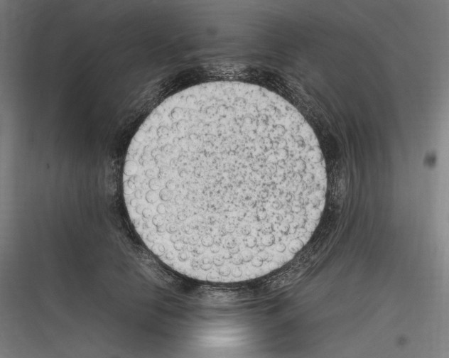 X0000116780658201001281215