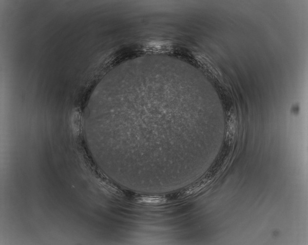 X0000116780659201001281215