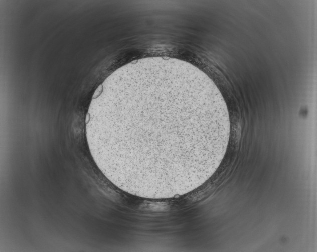 X0000116780665201001281215