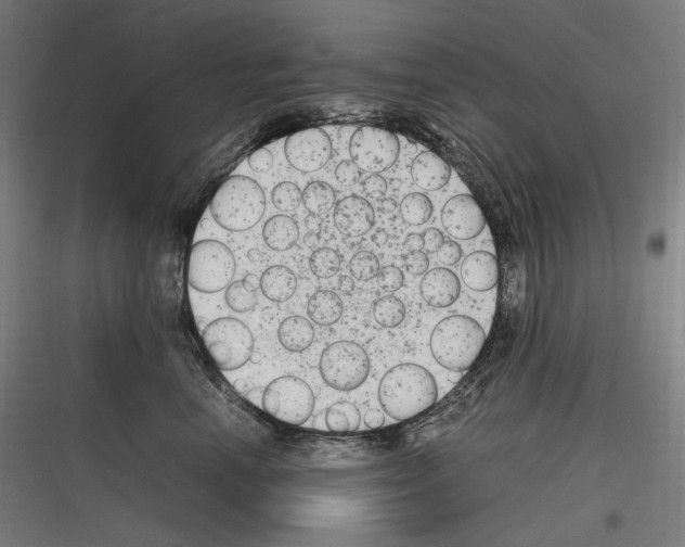 X0000116780666201001281215