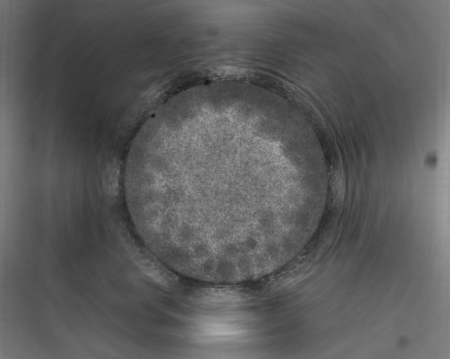 X0000116780668201001281215