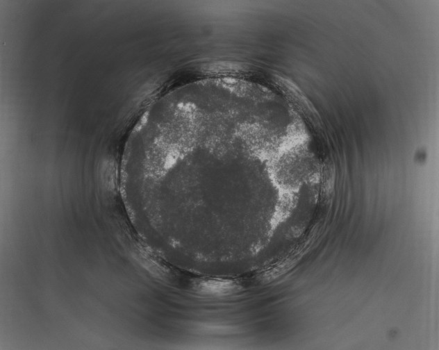 X0000116780669201001281215