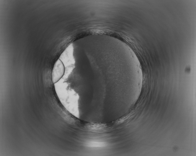 X0000116780670201001281215