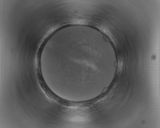 X0000116780674201001281215