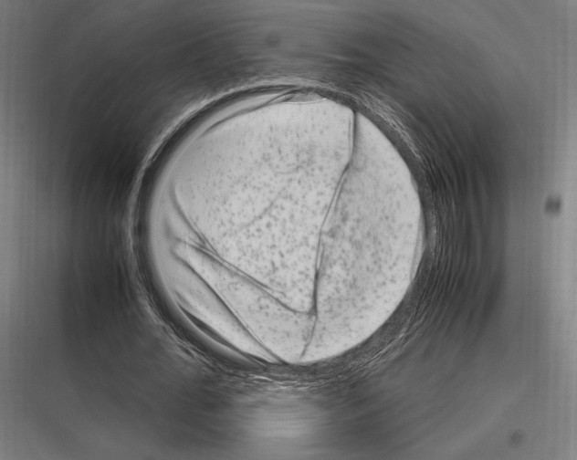 X0000116780676201001281215