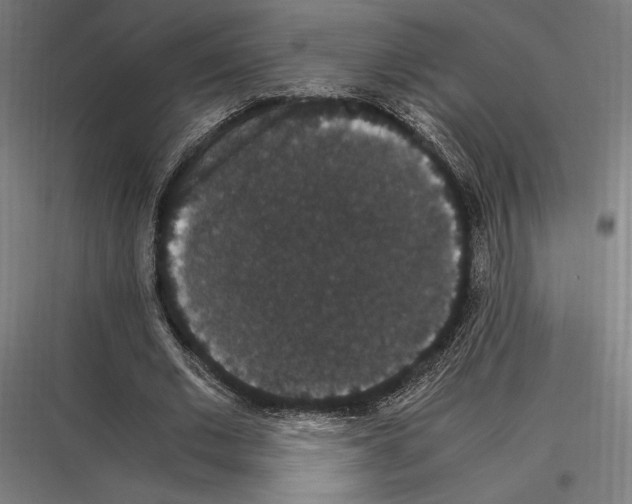 X0000116780677201001281215