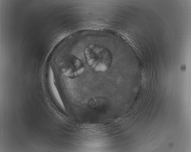 X0000116780679201001281215