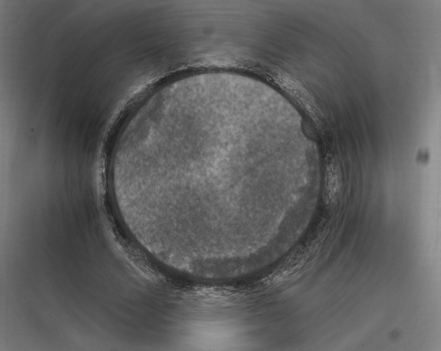 X0000116780680201001281215