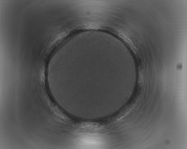 X0000116780681201001281215