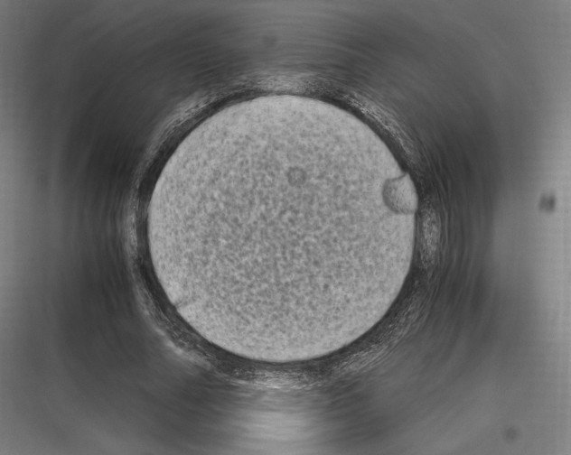 X0000116780682201001281215