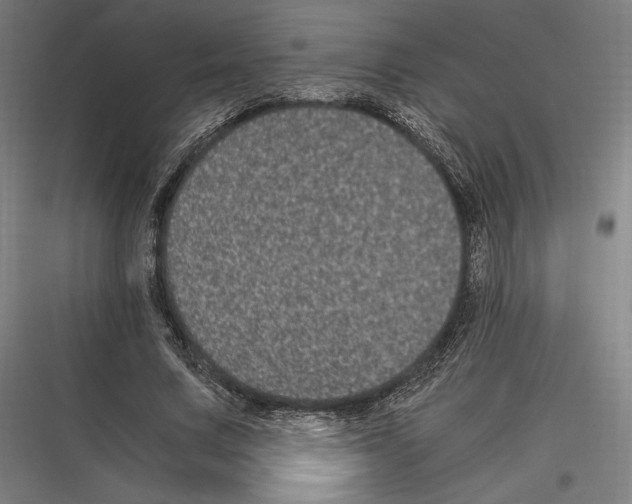 X0000116780683201001281215