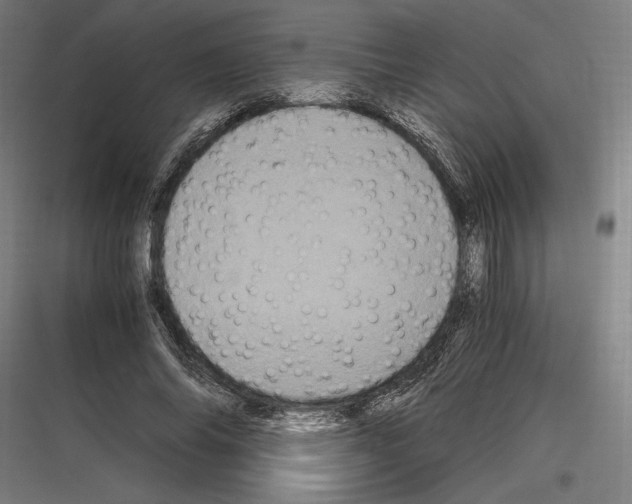 X0000116780686201001281215