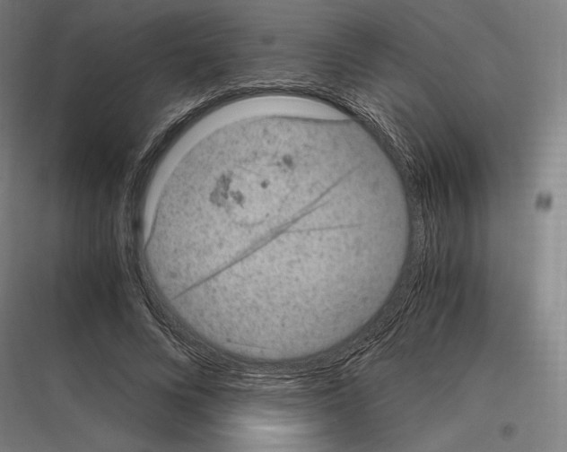 X0000116780688201001281215