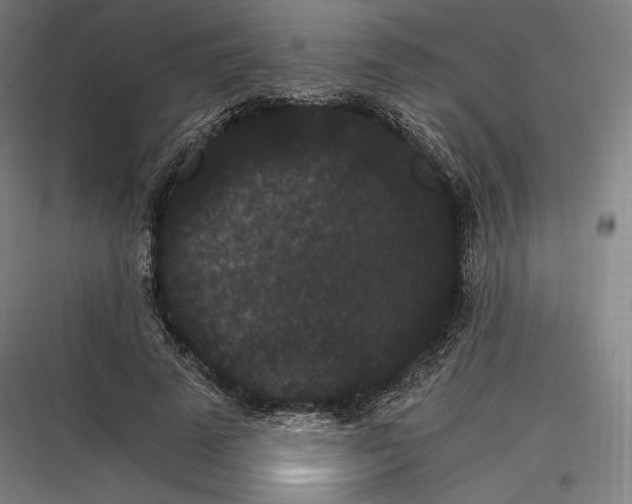 X0000116780689201001281215