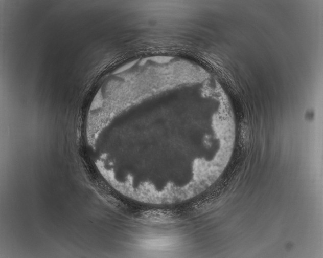 X0000116780691201001281215