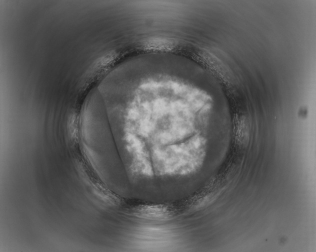 X0000116780692201001281215