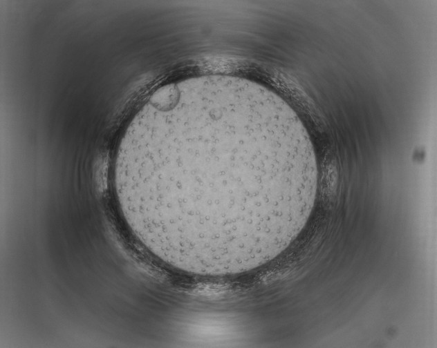 X0000116780694201001281215