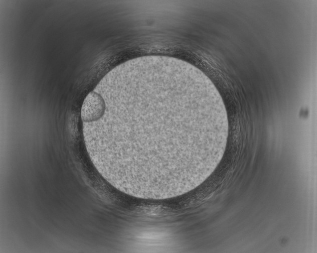 X0000116780695201001281215