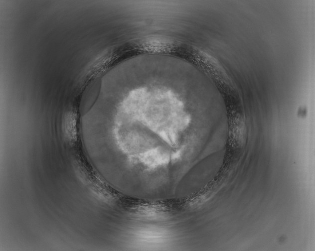 X0000116780696201001281215