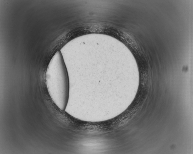 X0000116780697201001281215