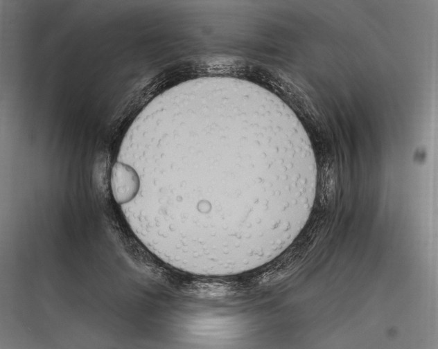 X0000116780698201001281215