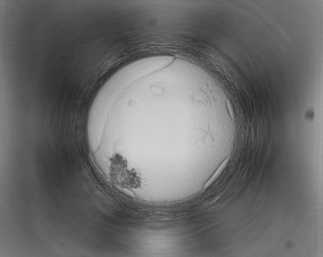 X0000116780700201001281215