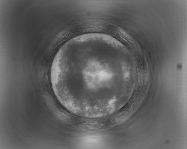 X0000116780701201001281214