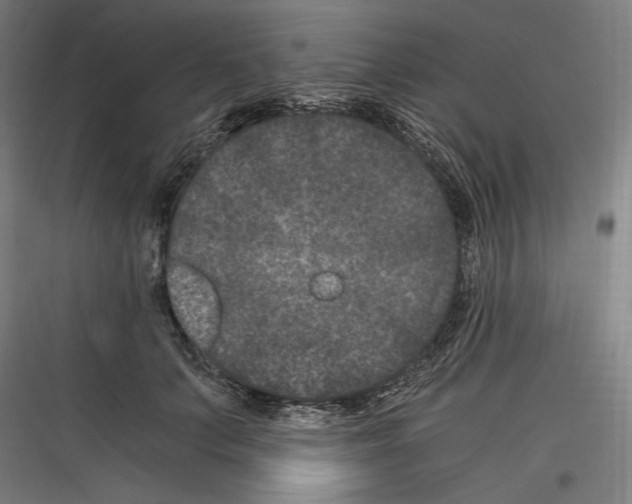 X0000116780703201001281214