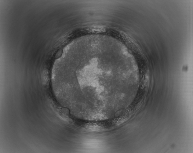 X0000116780704201001281214