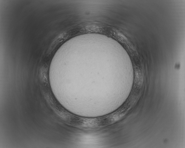 X0000116780705201001281214