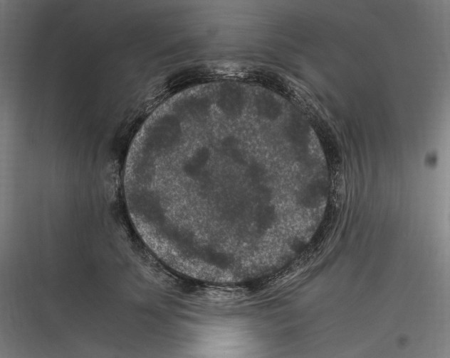 X0000116780707201001281214