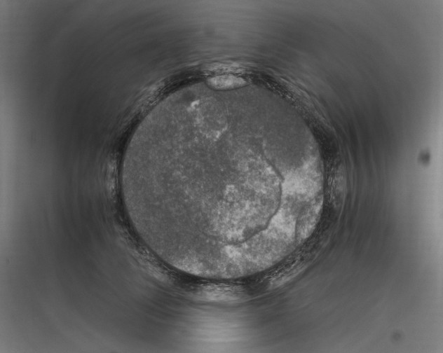 X0000116780708201001281214