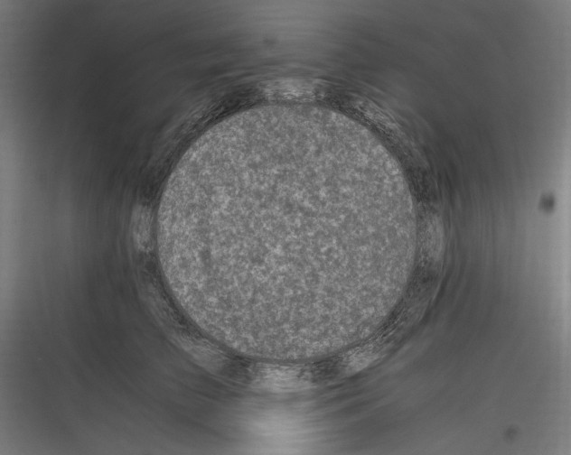 X0000116780709201001281214