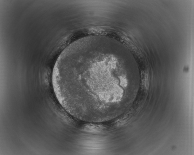 X0000116780712201001281214