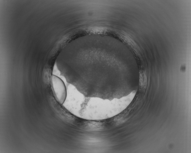 X0000116780718201001281214