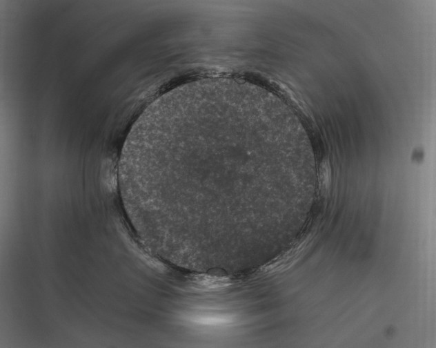 X0000116780719201001281214