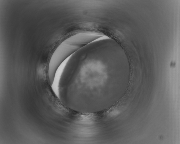 X0000116780720201001281214