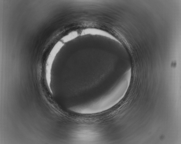 X0000116780722201001281214