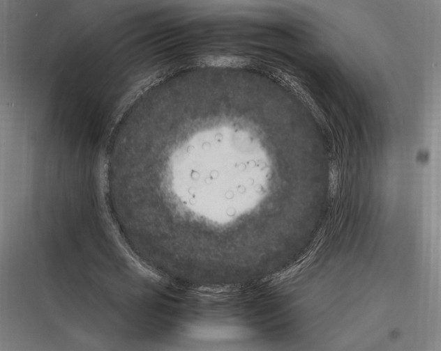 X0000116780725201001281214