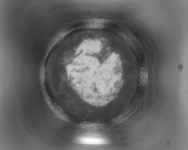 X0000116780726201001281214