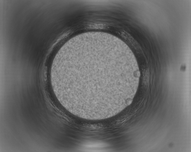 X0000116780731201001281214