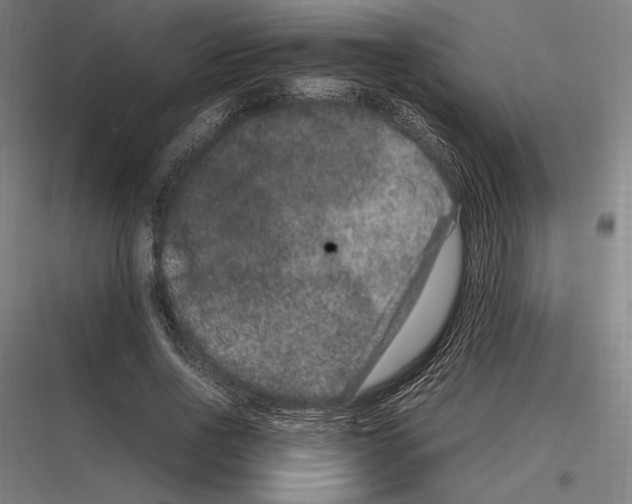 X0000116780734201001281214